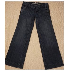 American Eagle Trouser Style Jeans